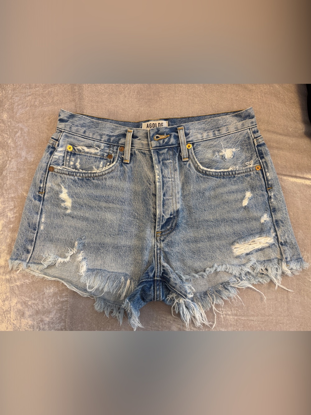 Agolde Parker Vintage Cutoff Short in Swapmeet